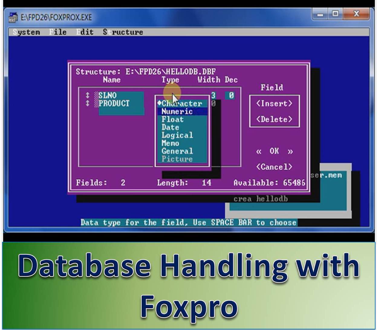 http://study.aisectonline.com/images/Database Handling with Foxpro.jpg